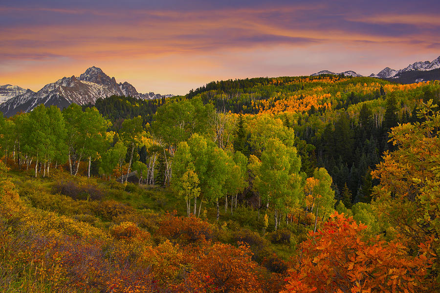 Fall Photograph - An Early Fall Morning by Tim Reaves