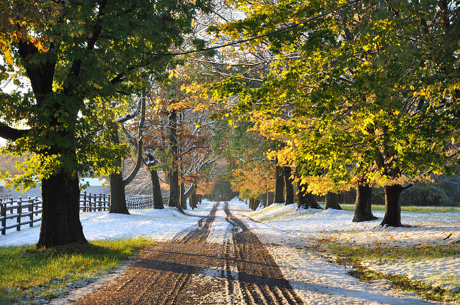 An Early Winter Photograph by Bill Cannon