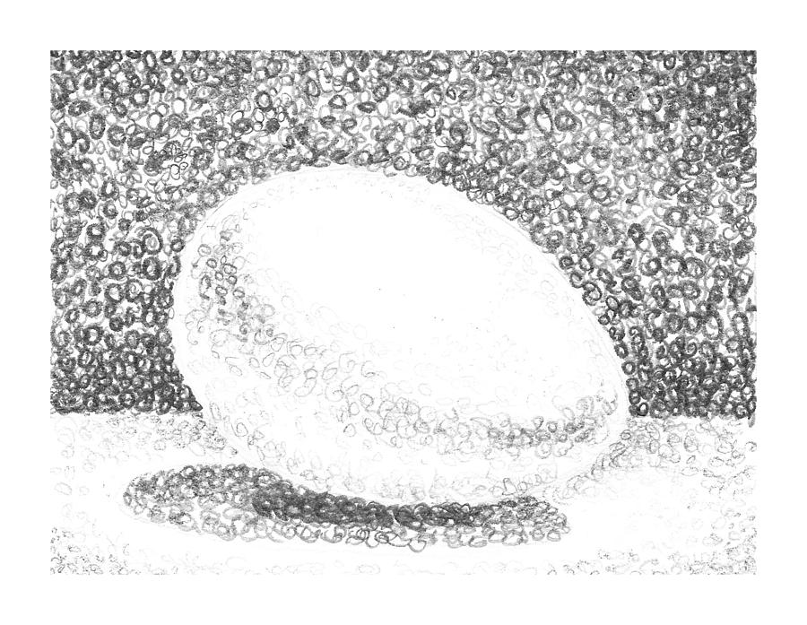 Chicken Drawing - An Egg Study Two by Irina Sztukowski