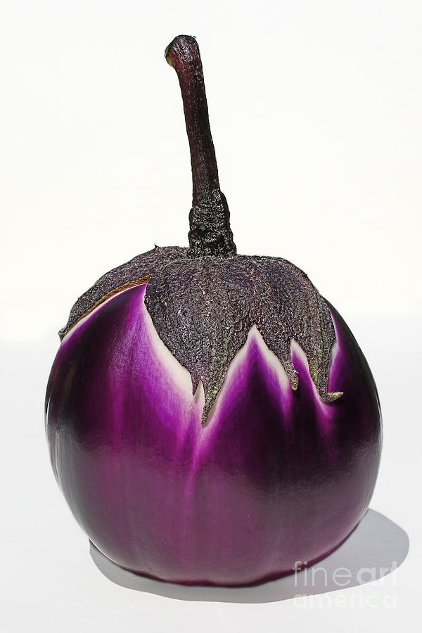 An Eggplant Jewel Photograph by Barbara McMahon
