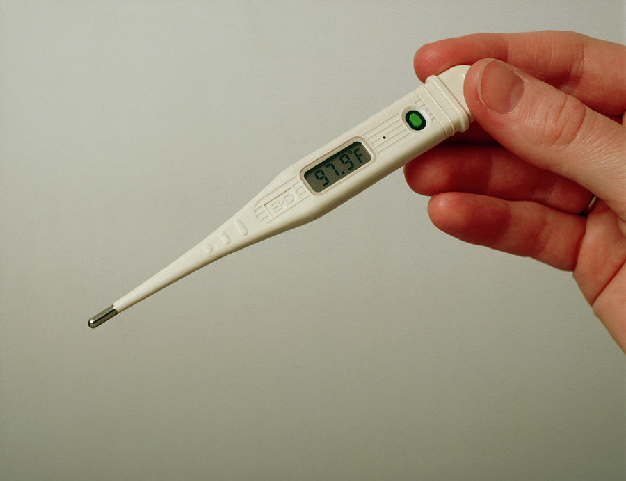 Thermometer Photograph - An Electronic Clinical Thermometer. by Chris Priest/science Photo Library