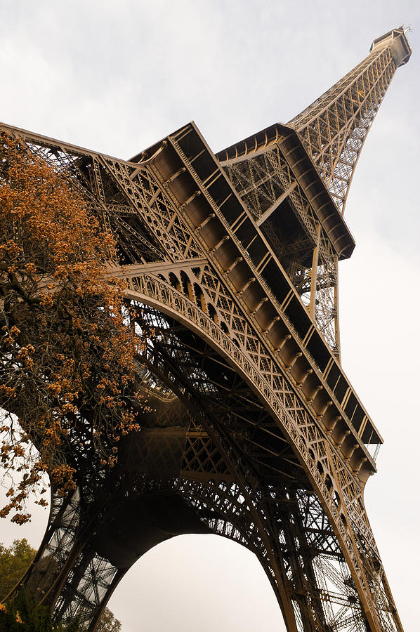 Eiffel Tower Photograph - An Elegant French Iron Lady - La Dame de Fer Paris by Georgia Mizuleva