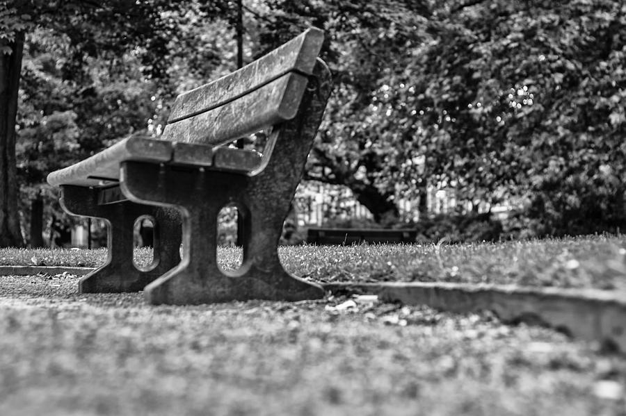 An Empty Park Bench Photograph by Georgia Clare