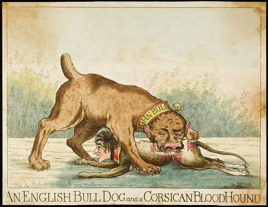 Bull Drawing - an English Bull-dog And A  Corsican by Mary Evans Picture Library