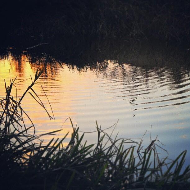 Nature Photograph - An #evening #calm... #latergram by Linandara Linandara