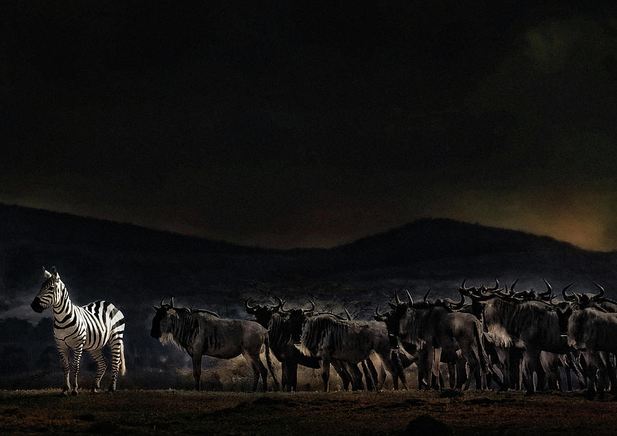 An Evening In Kenya Photograph by Piet Flour