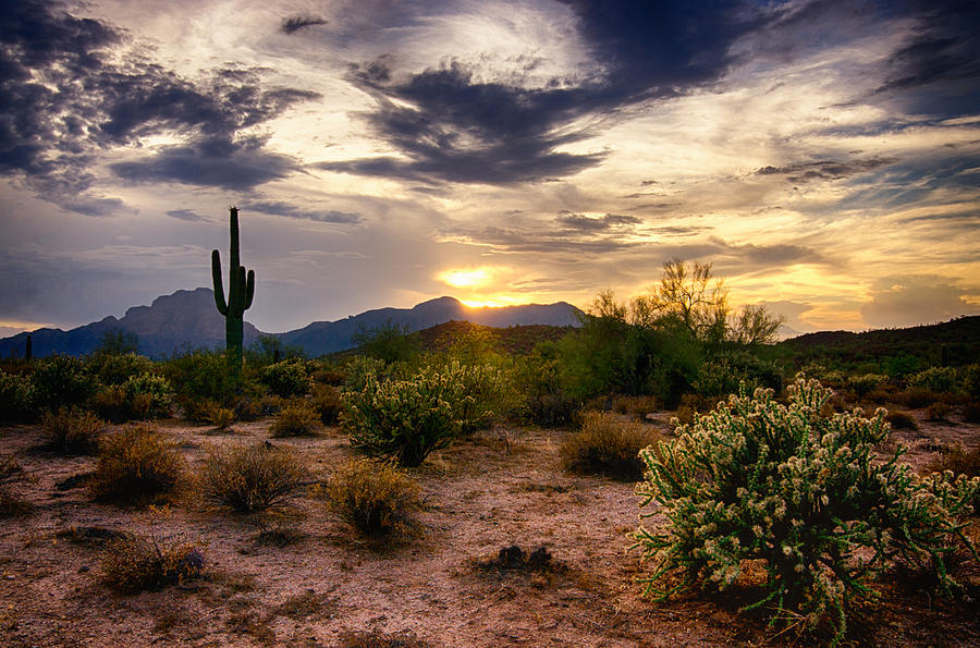 An Evening in the Desert Photograph by Saija Lehtonen | Pixels