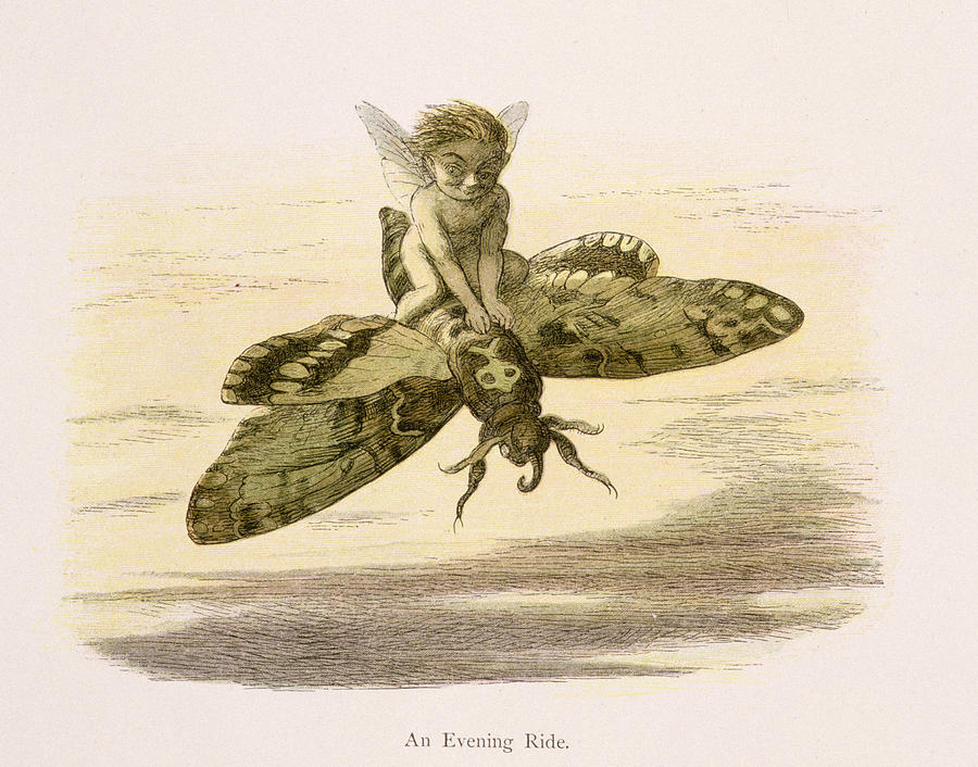 An Evening Ride, Illustration From In Drawing by Richard Doyle