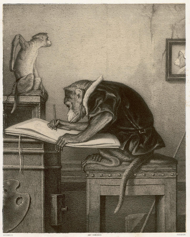Animal Drawing - An Extremely Talented Aspiring Monkey by Mary Evans Picture Library