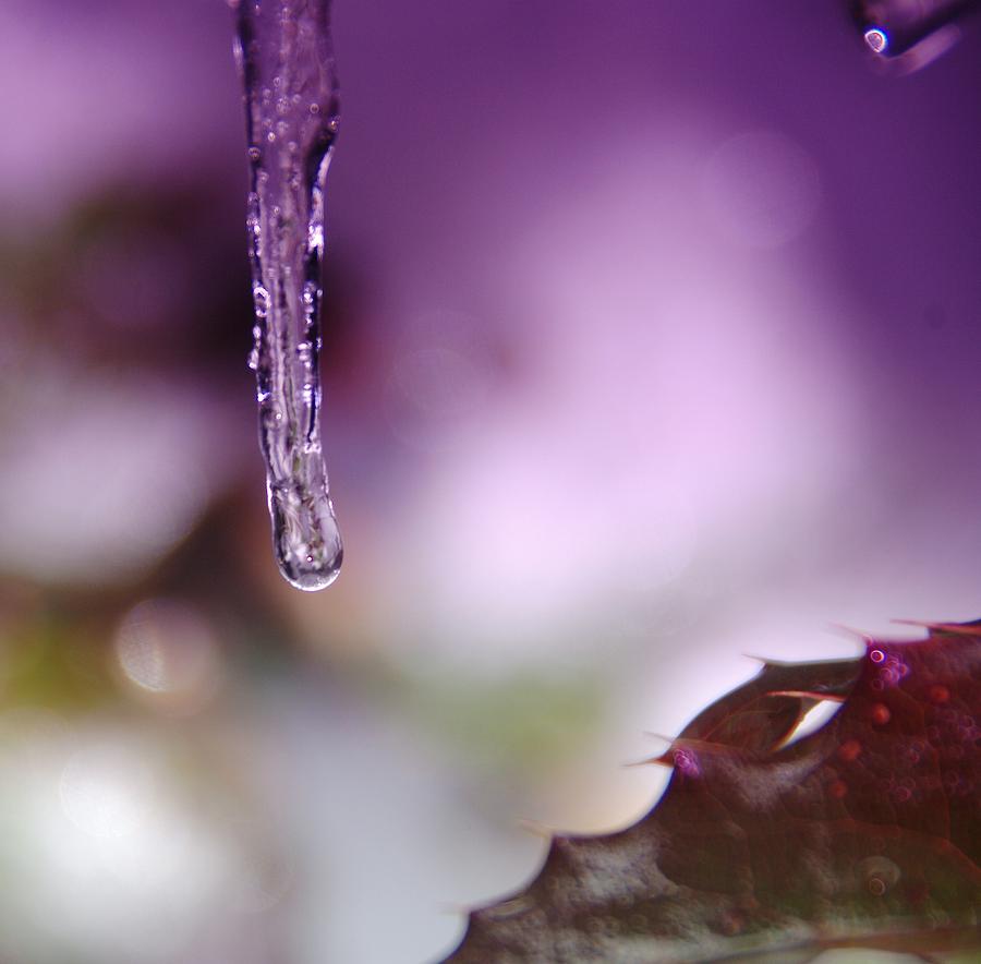 An Ice Drop Photograph