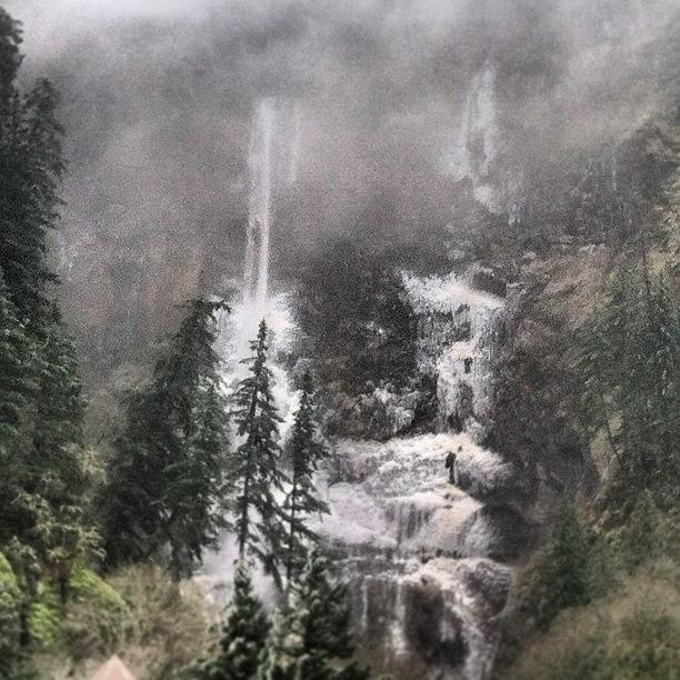 An Ice Storm In The Gorge This Morning Photograph by Mike Warner