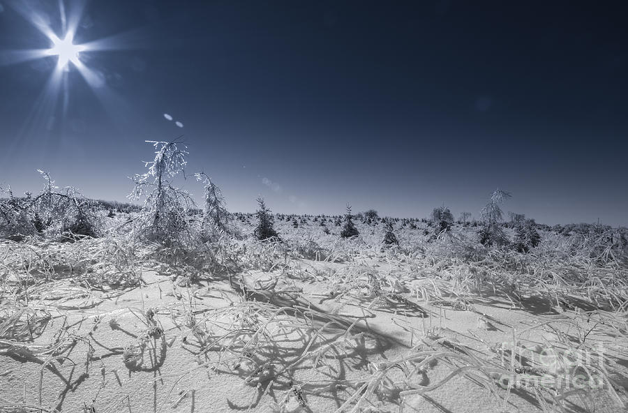 An ice wasteland illuminated Photograph by Simon Jones - Pixels