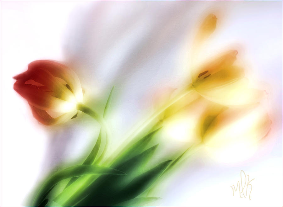 Impression of Tulips Photograph by Louise Kumpf