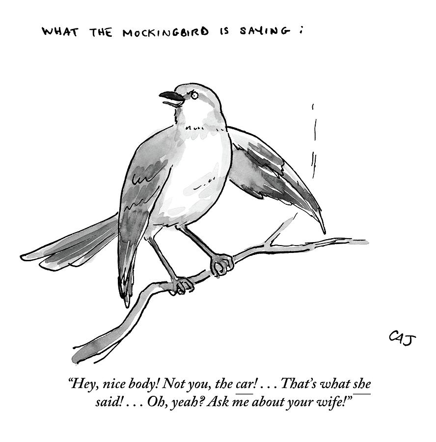Bird Drawing - An Incendiary Mockingbird Is Depicted by Carolita Johnson