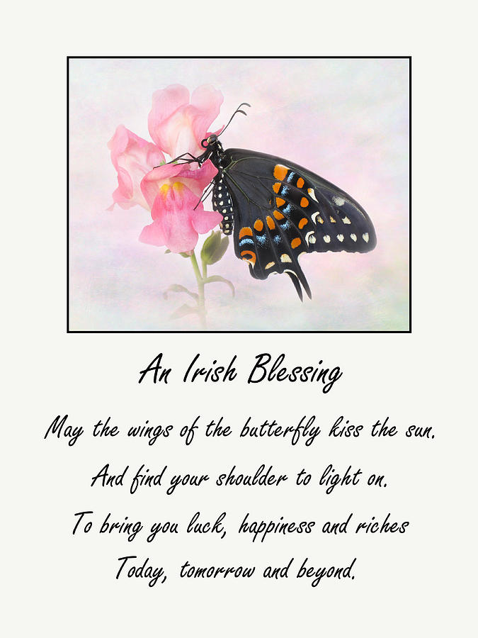 Butterfly Photograph - An Irish Blessing by David and Carol Kelly