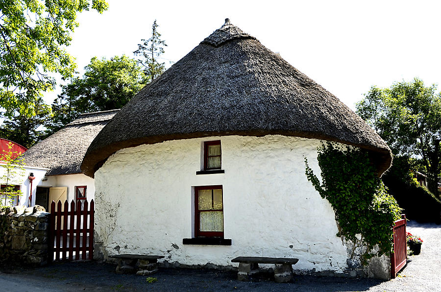 An Irish Homestead Photograph by Richard Ortolano