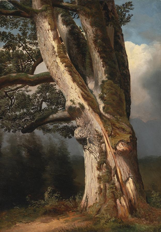 Alexandre Calame Painting - An Oaktree Trunk by Celestial Images
