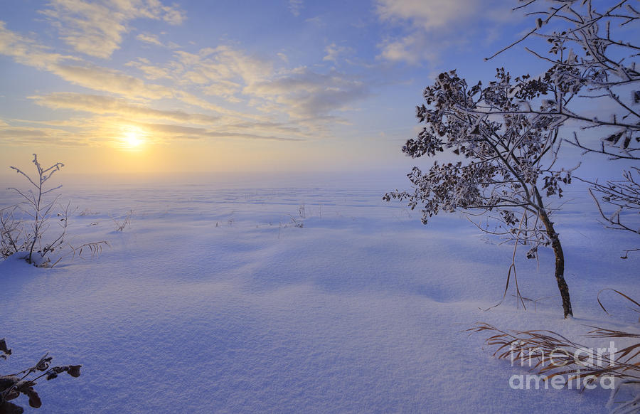 Winter Photograph - An ocean of snow by Dan Jurak