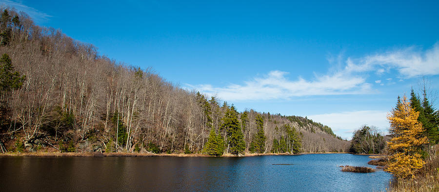 An October Day on Bald Mountain Pond Photograph by David Patterson
