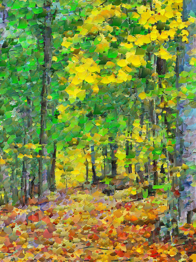 An October Walk in the Woods. 1 Digital Art by Digital Photographic Arts