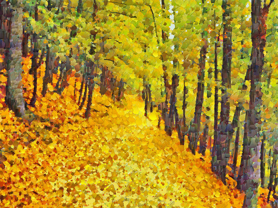 An October Walk in the Woods. 2 Digital Art by Digital Photographic Arts