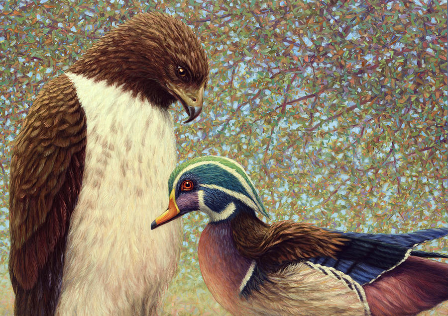 Falcon Painting - An Odd Couple by James W Johnson