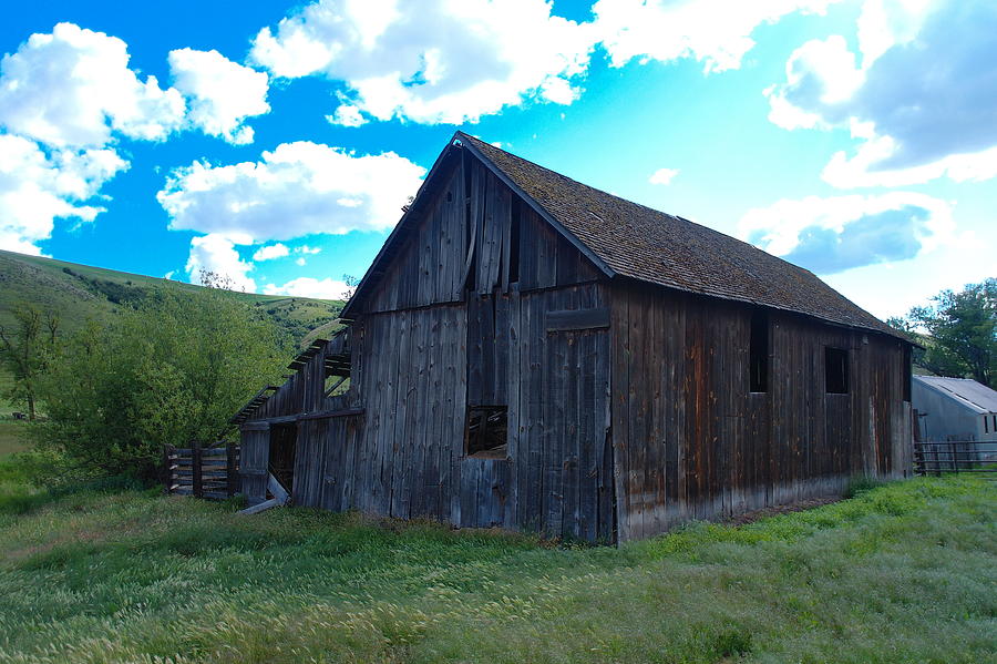 An Old Barn In The Sage Photograph
