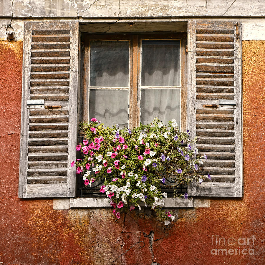An Old French Window Photograph by Olivier Le Queinec