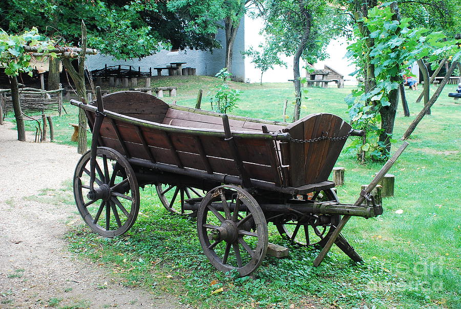 An old Hungarian wagon Photograph by Joe Cashin