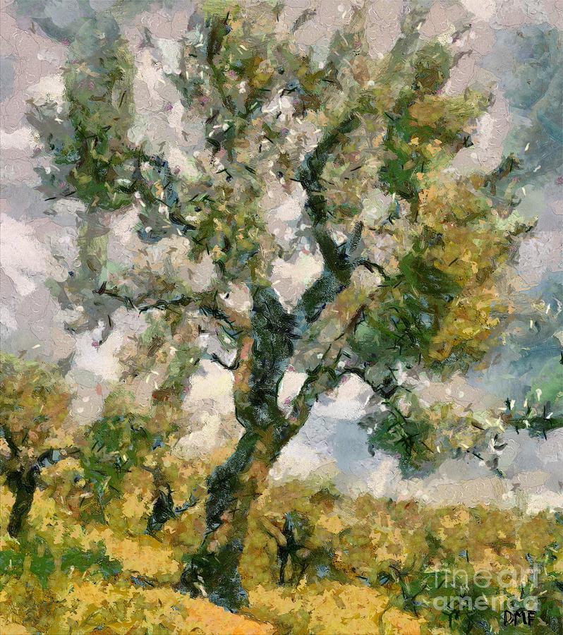 An Old Olive Grove Painting by Dragica  Micki Fortuna