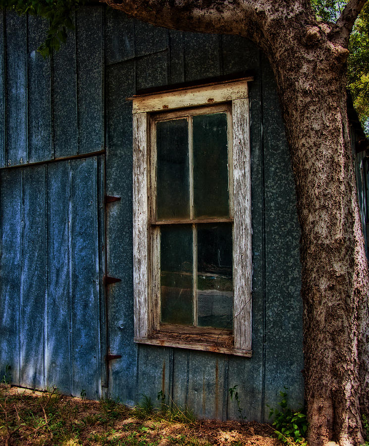 An Old Shed Photograph by Mark Alder
