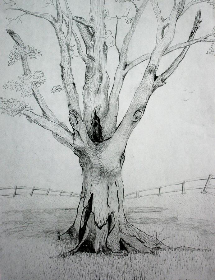 Detailed black and white ink drawing of an oak tree on Craiyon