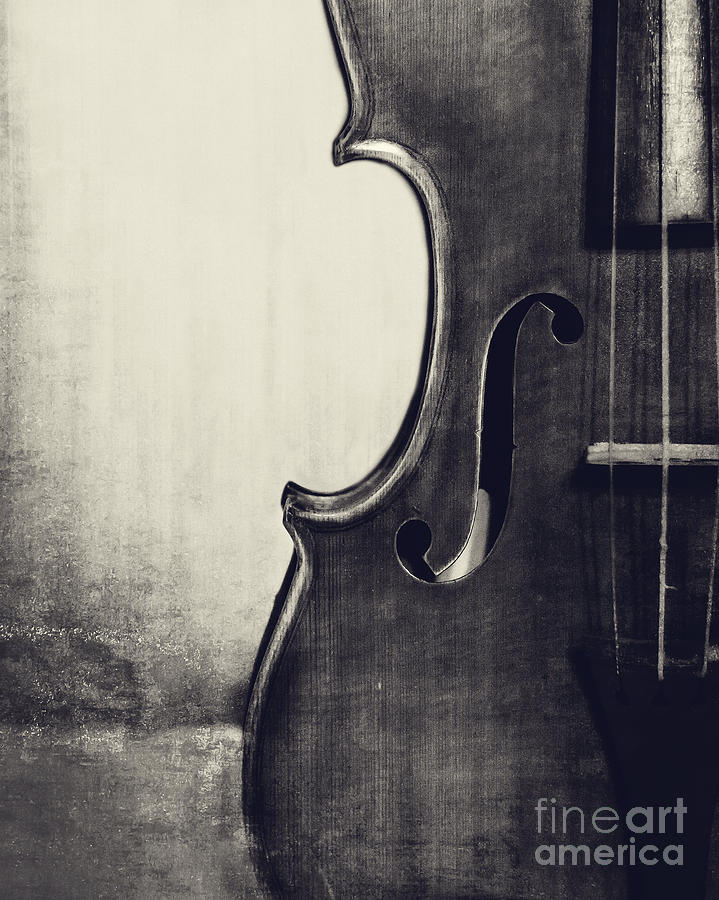 Music Photograph - An Old Violin in Black and White by Kadwell Enz