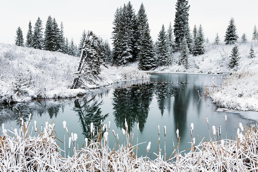 An Open Pond In The Winter With Snow Photograph by Michael Interisano