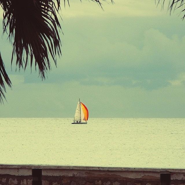 Boat Photograph - An #orange  #sail ... #boat  #sailing by Linandara Linandara