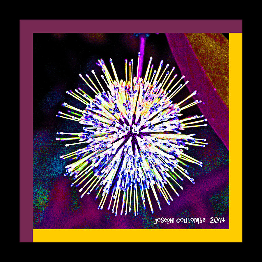 Flower Digital Art - An Orgasmic Moment of a Spore by Joseph Coulombe