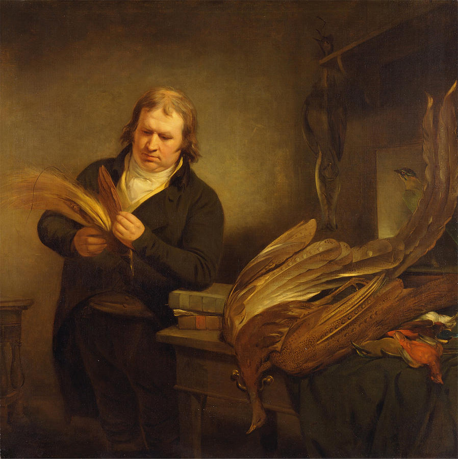 Ramsay Richard Reinagle Painting - An Ornithologist by Ramsay Richard Reinagle