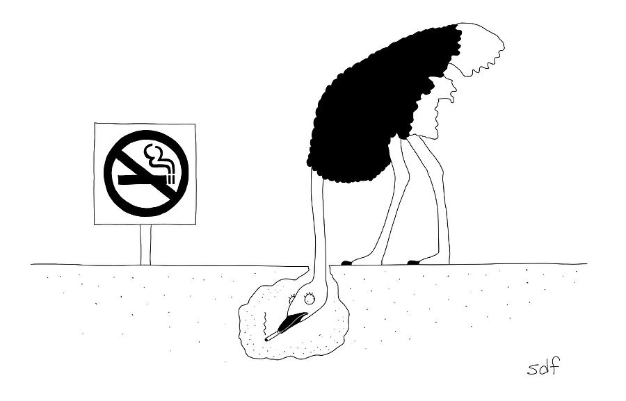 An Ostrich With Its Head Buried Drawing by Seth Fleishman
