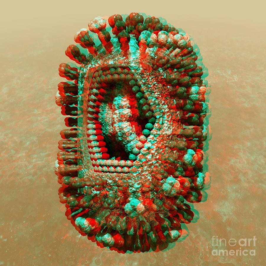 Anaglyph of Influenza virus cutaway showing internal structure 1 Digital Art by Russell Kightley