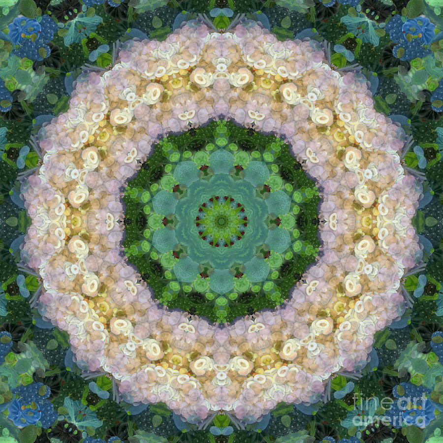 ANAHATA Rose Mixed Media by SiriSat - Fine Art America