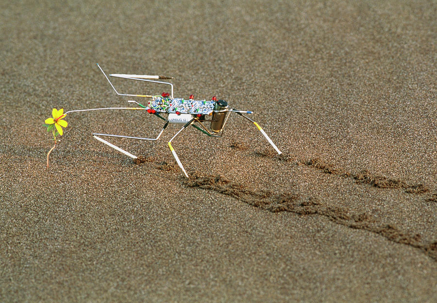 Analogue Robot Insect Photograph by Peter Menzel/science Photo Library