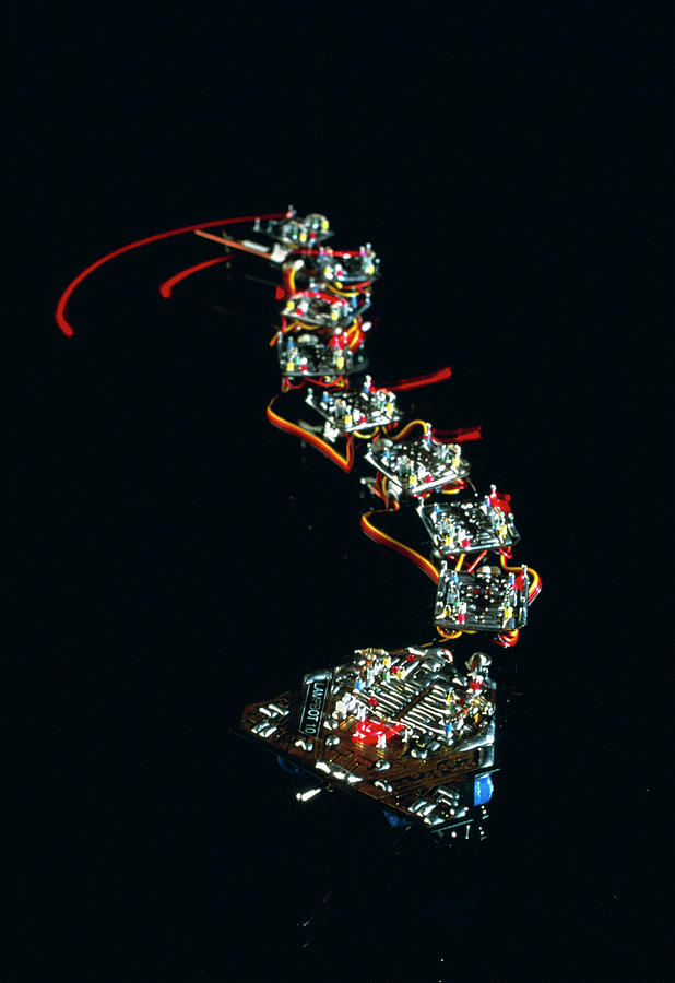 Analogue Robot Snake Photograph by Peter Menzel/science Photo Library