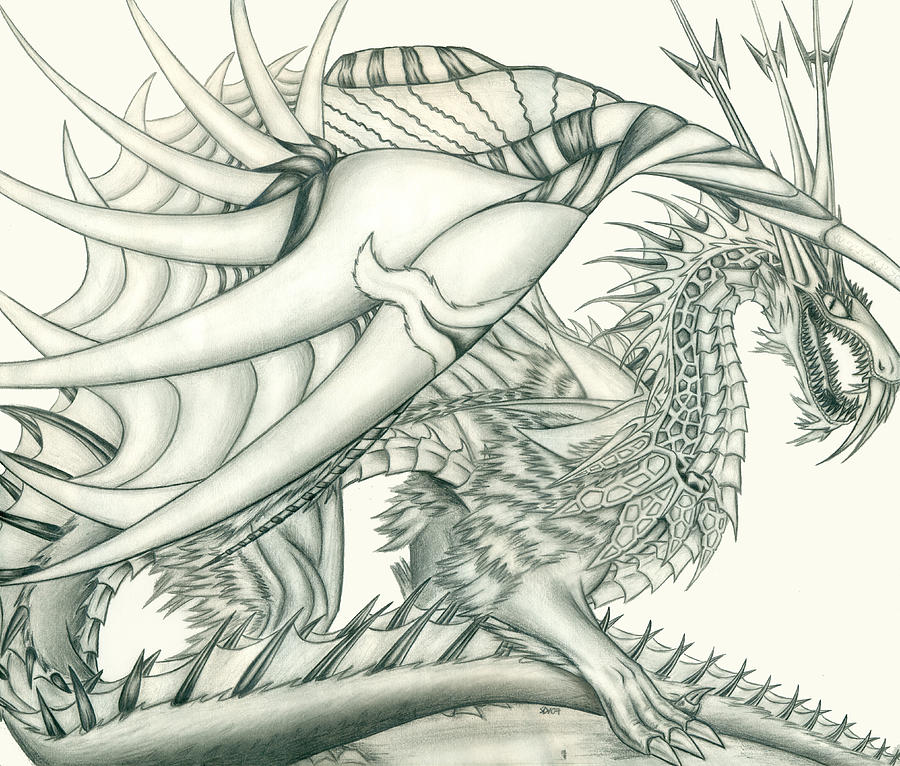 Dragon Drawing - Anareil the Chaos Dragon by Shawn Dall