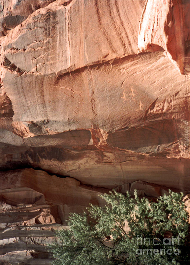 Anasazi Shelters in Canyon de Chelly 1993 Photograph by Connie Fox
