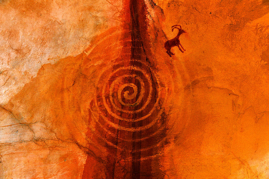 Animal Photograph - Anasazi Spirals  by David Lee Thompson
