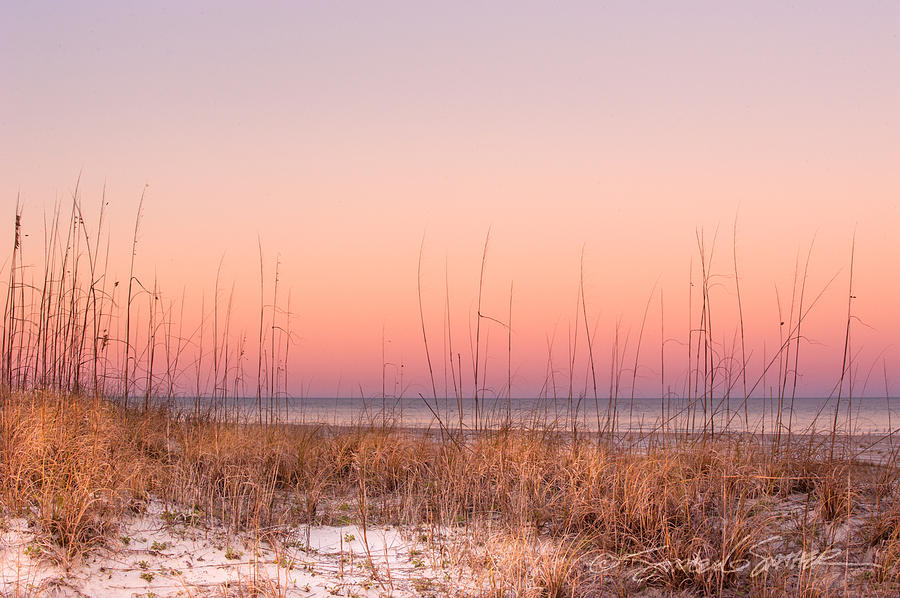 Sunset Photograph - Anastasia Beach Dunes sunset by Stacey Sather