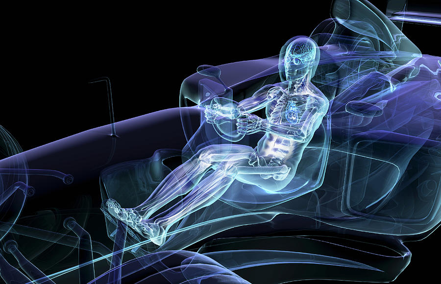 Anatomical Man Driving Car Photograph by Ikon Ikon Images