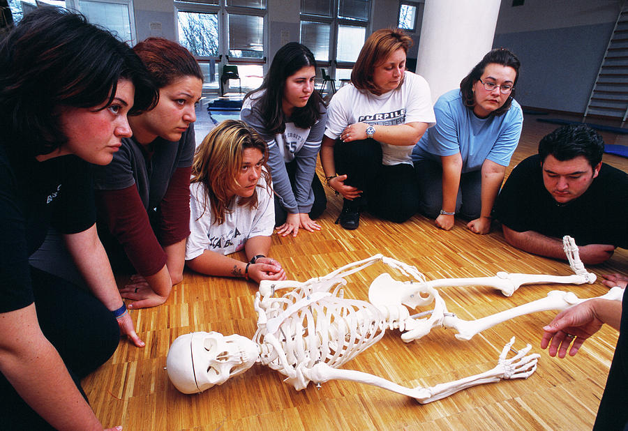Anatomy Education Photograph by Mauro Fermariello/science Photo Library