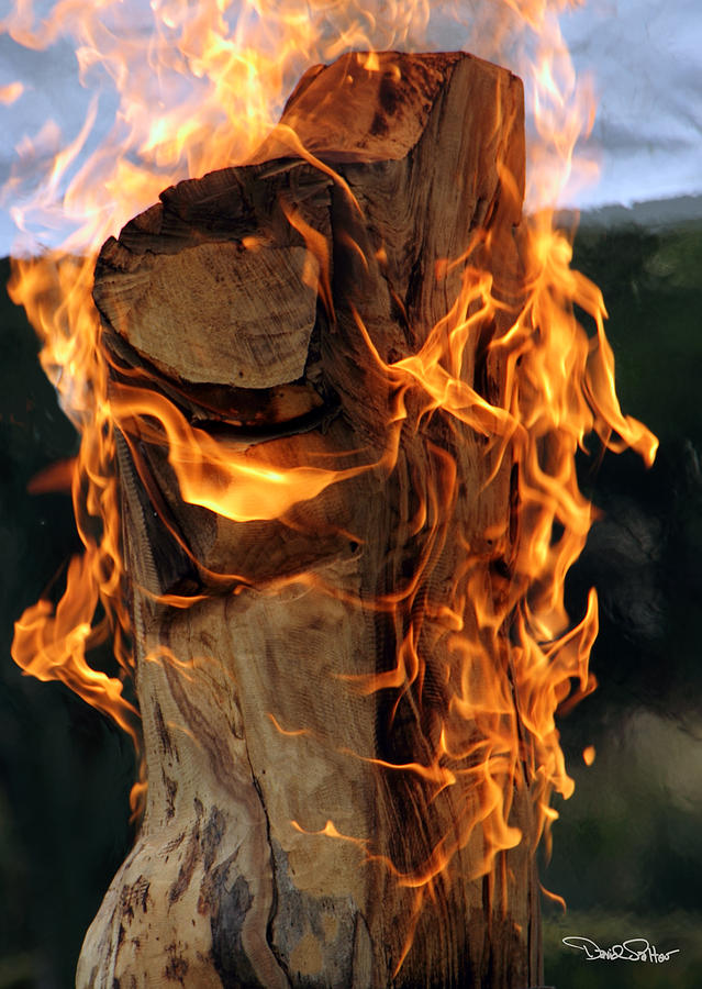 Fire Flames Photograph - Anatomy of Fire by David Salter