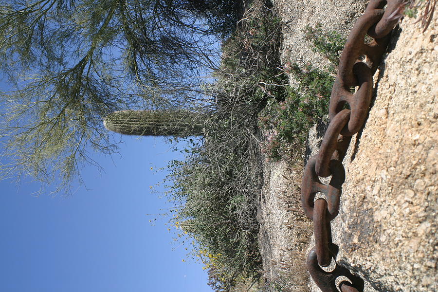 Anchor Chain In The Desert Photograph